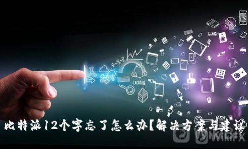 比特派12个字忘了怎么办？解决方案与建议