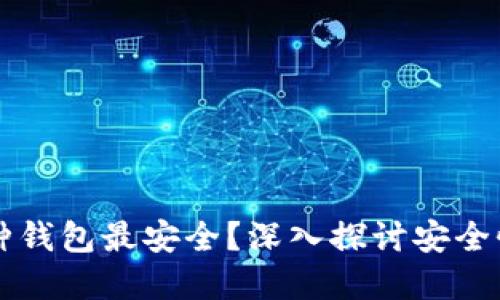 区块链上哪种钱包最安全？深入探讨安全性与最佳实践