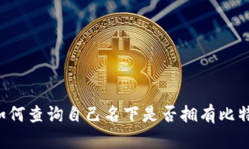  如何查询自己名下是否拥有比特币