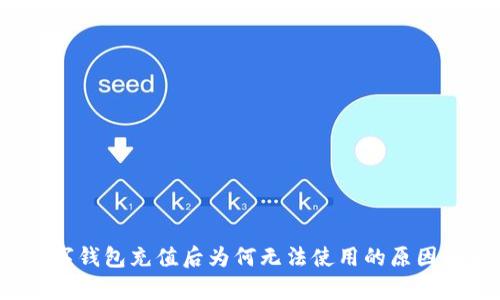 数字钱包充值后为何无法使用的原因解析