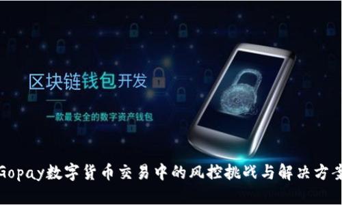 Gopay数字货币交易中的风控挑战与解决方案