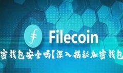 一般的加密钱包安全吗？