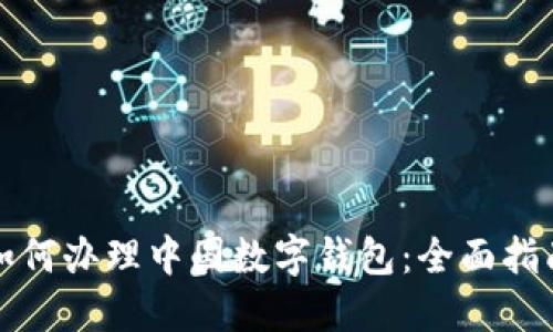 如何办理中国数字钱包：全面指南