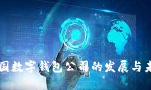 美国数字钱包公司的发展与未来