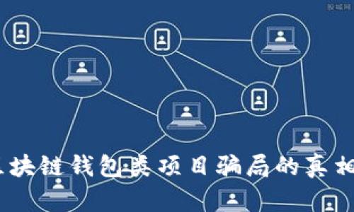 深度解析：区块链钱包类项目骗局的真相与防范措施