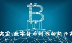 虚拟币商家：数字货币时