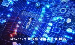 BitDock下载线路详解与使用指南