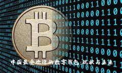 中国最受欢迎的数字钱包