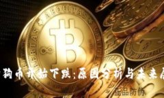  狗狗币开始下跌：原因分析与未来展望