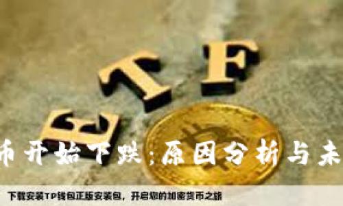  狗狗币开始下跌：原因分析与未来展望