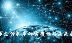 Pi币支付买车的实用性与未来展望