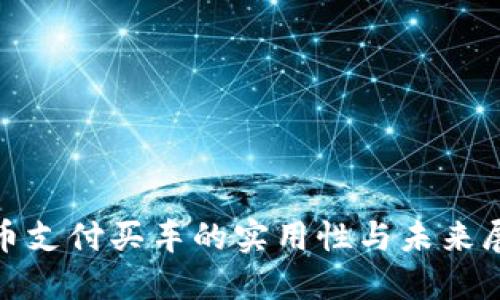 Pi币支付买车的实用性与未来展望