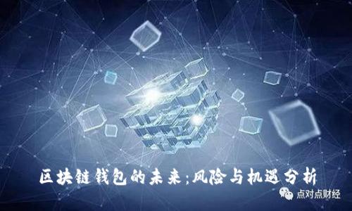 区块链钱包的未来：风险与机遇分析