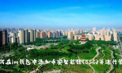 如何在im钱包中添加币安智能链(BSC)并进行管理